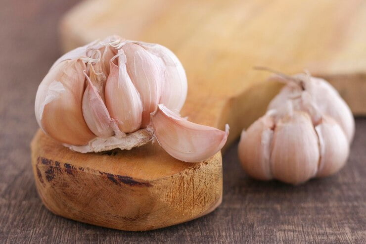 قیمت خرید سیر سفید صادراتی + فروش ویژه